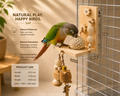Natural Bird Chew Toy for Healthy Beaks and Daily Enrichment